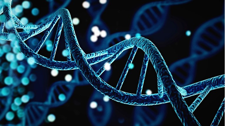Znanstvenici objavili prvi čitavi ljudski genom