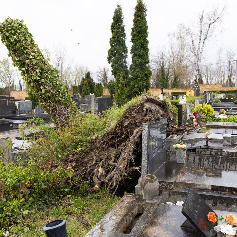 Iz Gradskih groblja pozvali građane da prijave oštećenja na grobnim mjestima