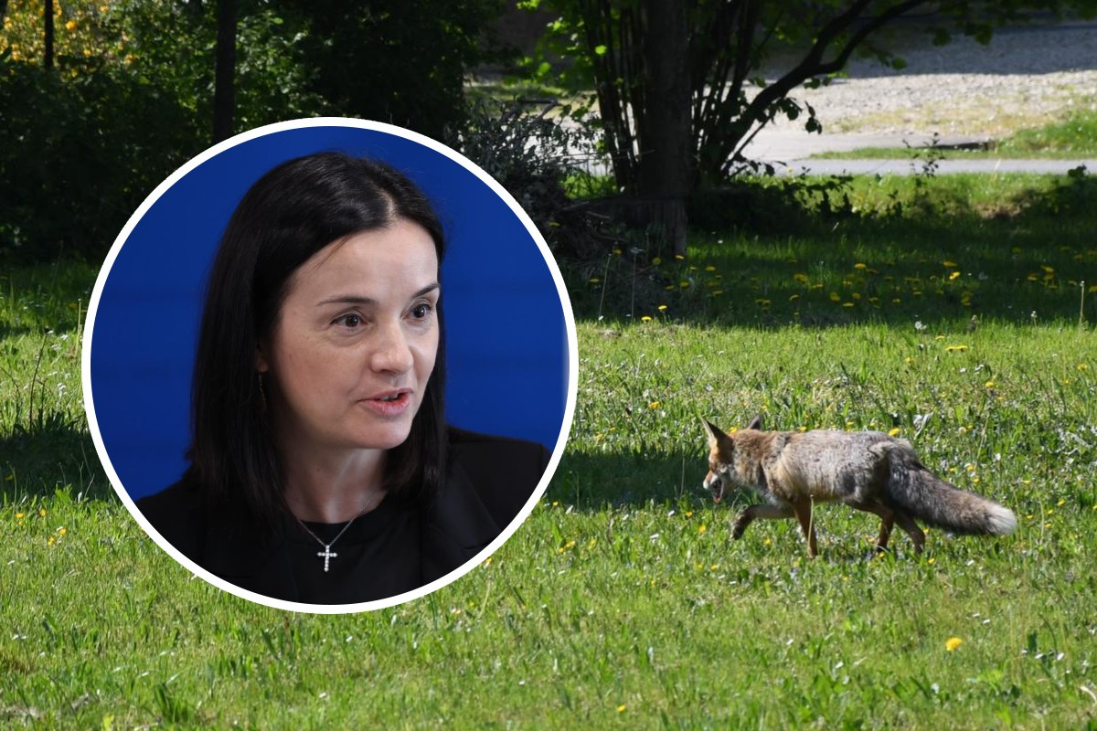 Ilegalna trgovina divljim životinjama ogroman je biznis. Hrvatska uvodi novi plan