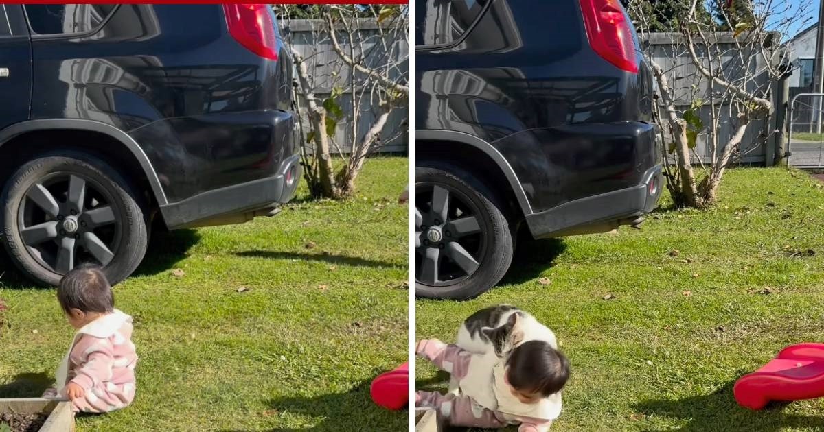 Mačka iz susjedstva skočila na bebu u vrtu, mama je slučajno sve snimila