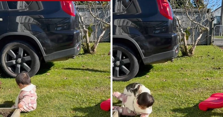 Mačka iz susjedstva skočila na bebu u vrtu, mama je slučajno sve snimila