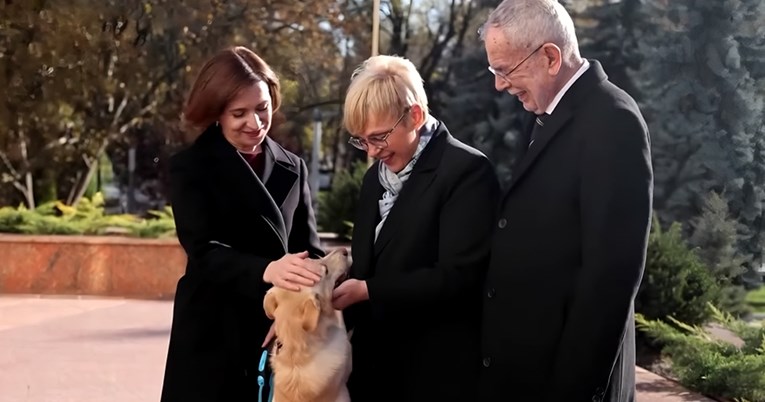 Pas moldavske predsjednice, koji je ugrizao austrijskog predsjednika, vratio se kući