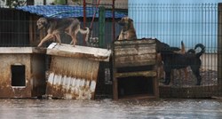 VIDEO I FOTO Potopljen azil za životinje u Ogulinu