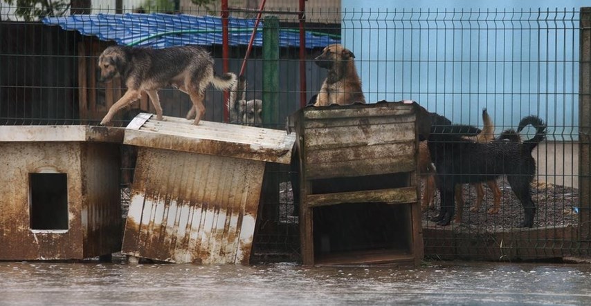 VIDEO I FOTO Potopljen azil za životinje u Ogulinu