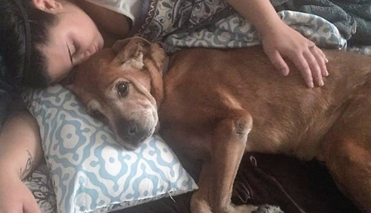 Udomljeni pas star 18 godina dočekao rođenje djeteta, a onda zauvijek zaspao