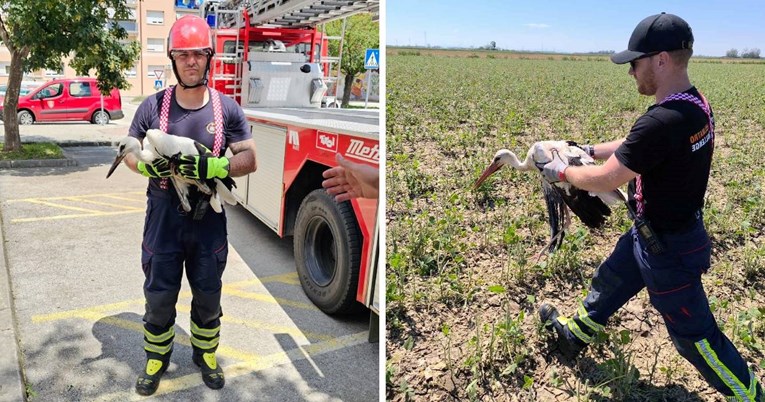 Vatrogasci spasili 15 roda ozlijeđenih u tuči u Slavoniji, pogledajte fotografije