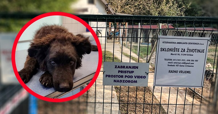 Zabranjen rad skloništu za životinje u Crikvenici, pse držali bez uvjeta