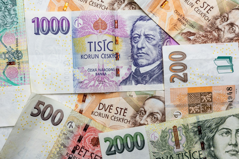 Češka vlada želi otežati zamjenu krune eurom