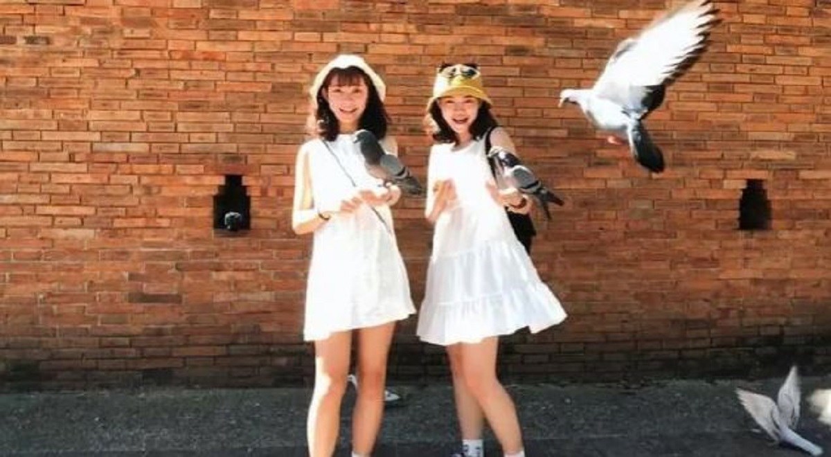 Ljudima je jako smiješno kako nastaju "savršene fotke s golubovima" na Tajlandu