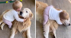 Beba prišla psu i zagrlila ga, video je pregledan pet milijuna puta