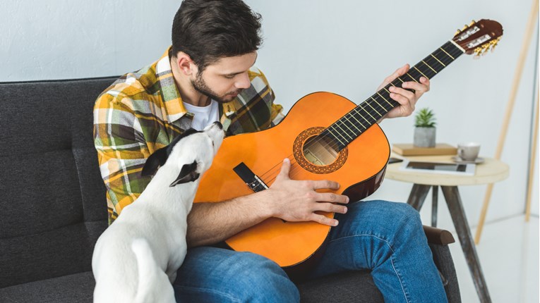 Spotify lansirao glazbene liste za pse koji ostaju sami kod kuće