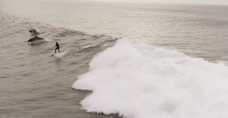 Surferu se u vožnji pridružili dupini, a sve je to slučajno snimio dron