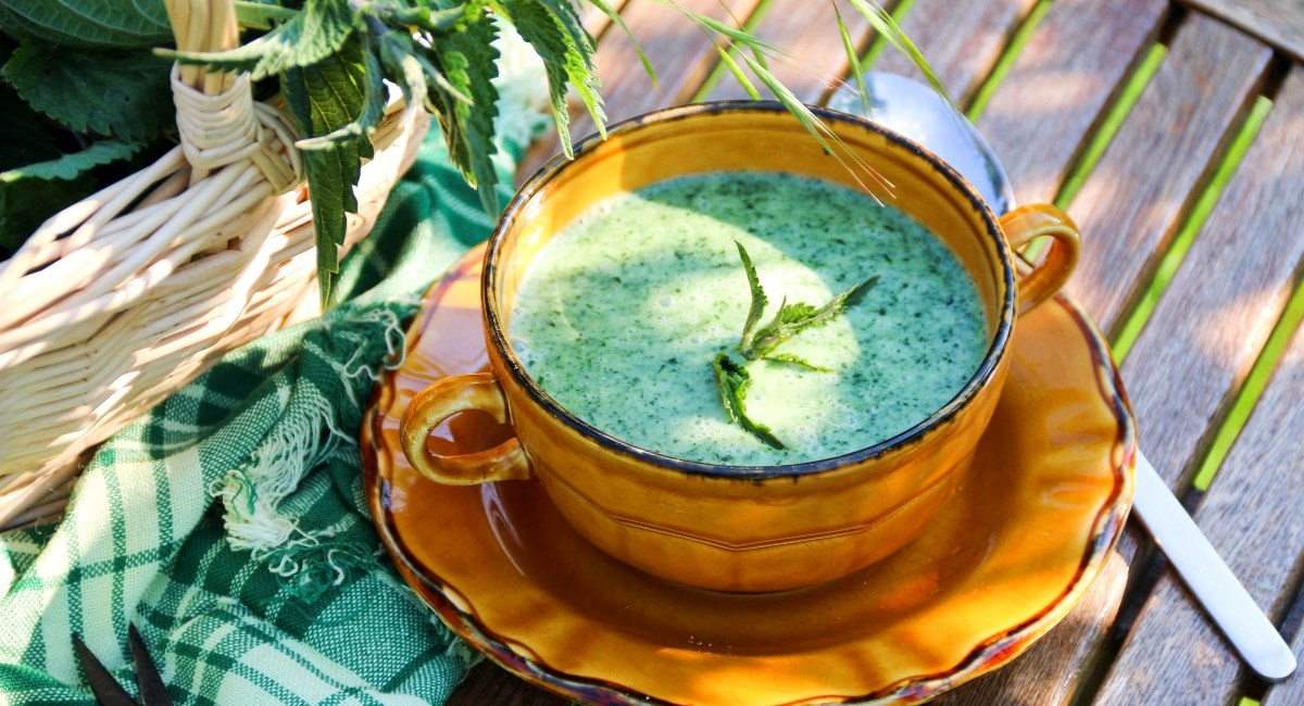 Na jednu namirnicu gotovo nitko ne misli - a ima više željeza od mesa