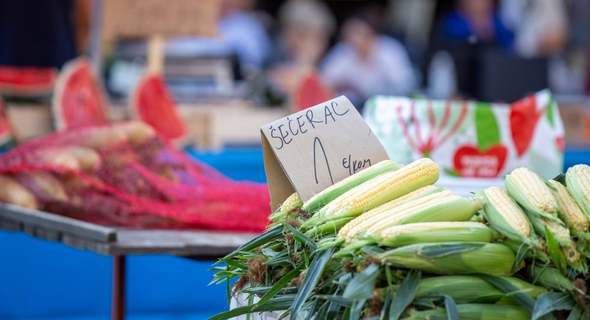 Prvi ovogodišnji kukuruz stigao je na tržnice, pogledajte cijenu