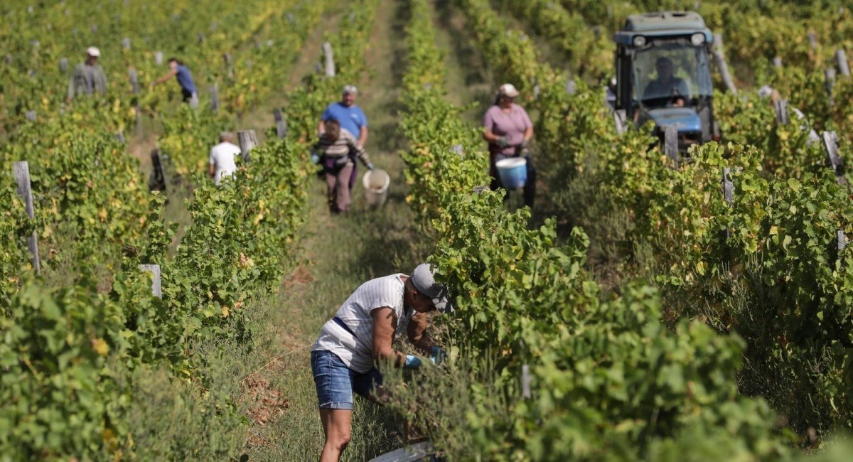 Poduzetnicima u Požeško-slavonskoj dobit pala za 10%, izvoz snažno porastao