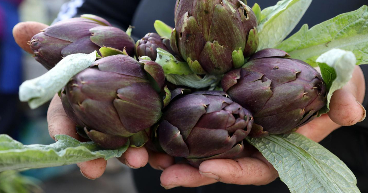 Sad im je sezona, a imaju brojne prednosti za vaše zdravlje