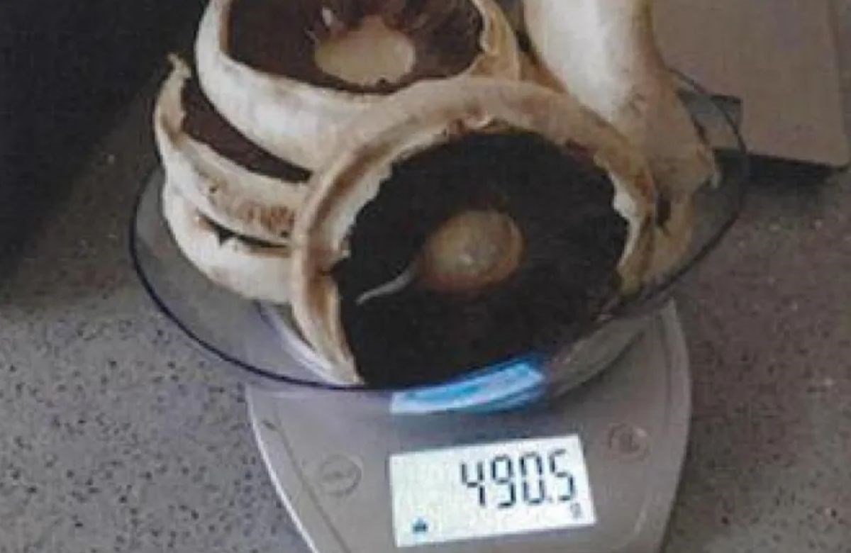FOTO I VIDEO Objavljeni dokazi protiv Australke koja je ubila rodbinu gljivama