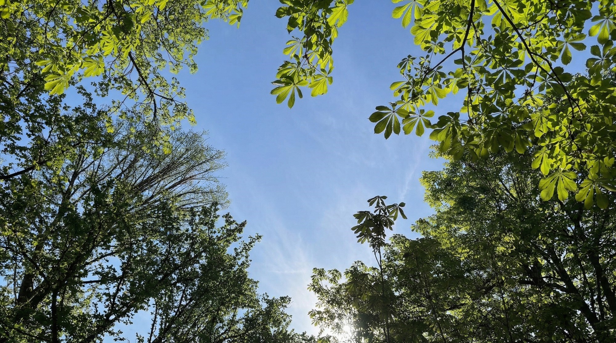 Ljubav je svuda oko nas. Dokaz je fotka snimljena danas u Zagrebu