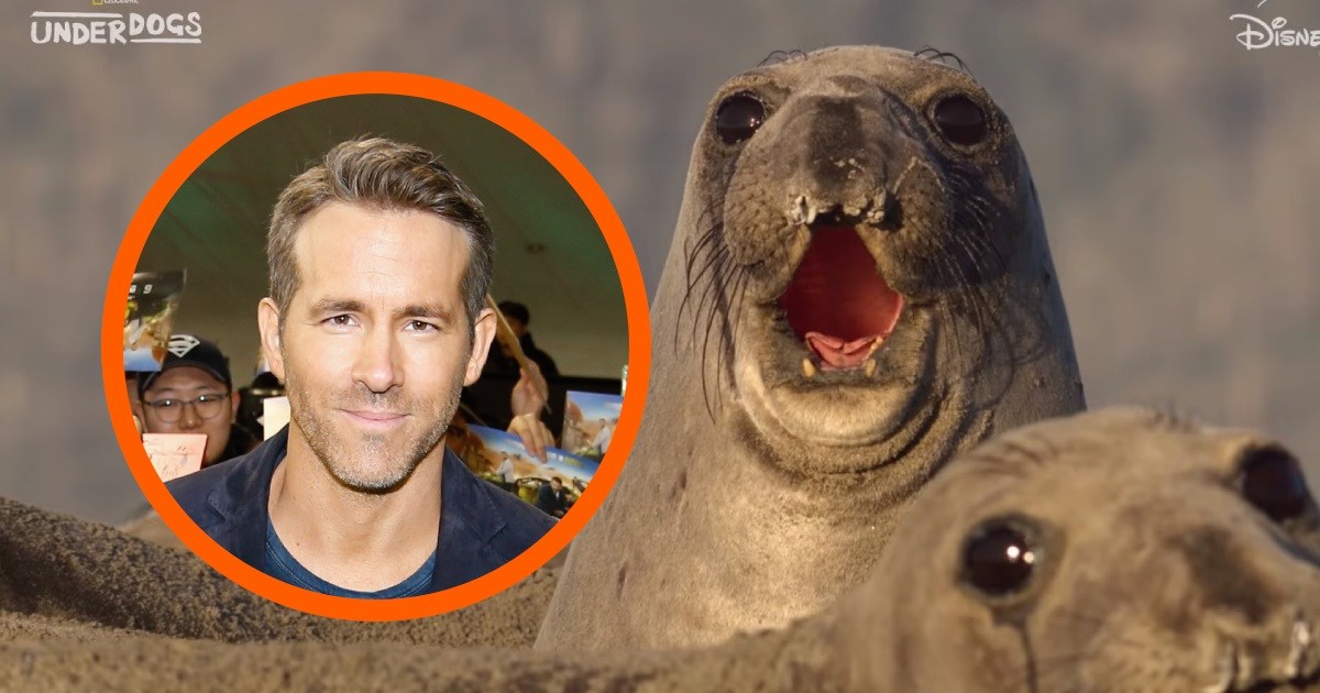 Ryan Reynolds snimio seriju o "životinjskim luzerima" za National Geographic
