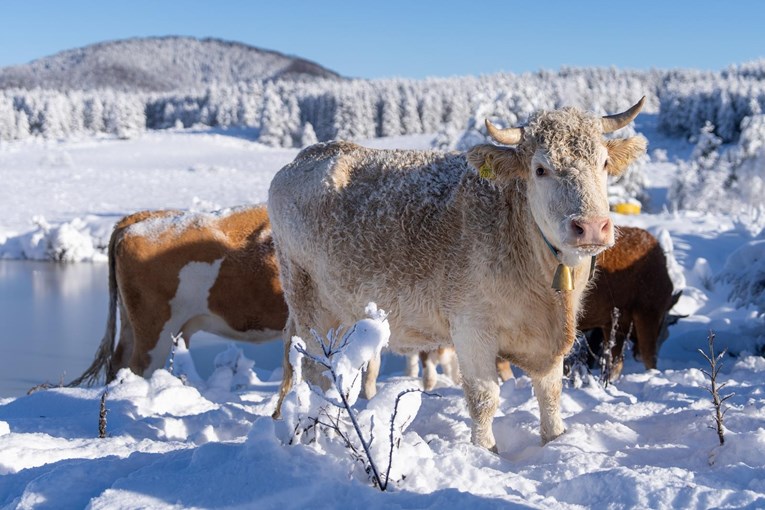 FOTO Lika trenutno izgleda kao mjesto iz bajke