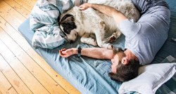 Nesanica je češći problem kod osoba koje spavaju sa psima, kaže studija