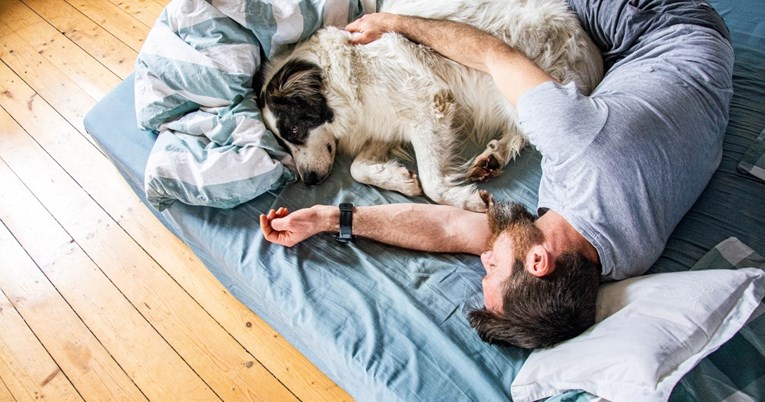 Nesanica je češći problem kod osoba koje spavaju sa psima, kaže studija