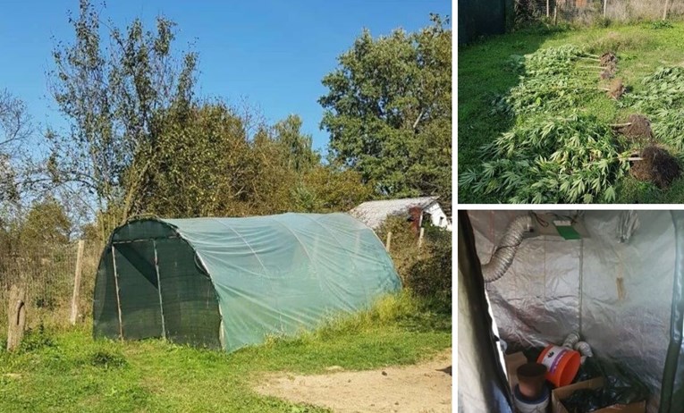 Kod Ivanića podigao šatore u vikendici i sadio marihuanu, otkrila ga policija