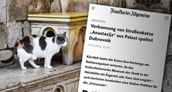 O deložaciji dubrovačke mačke Anastazije pišu i Nijemci