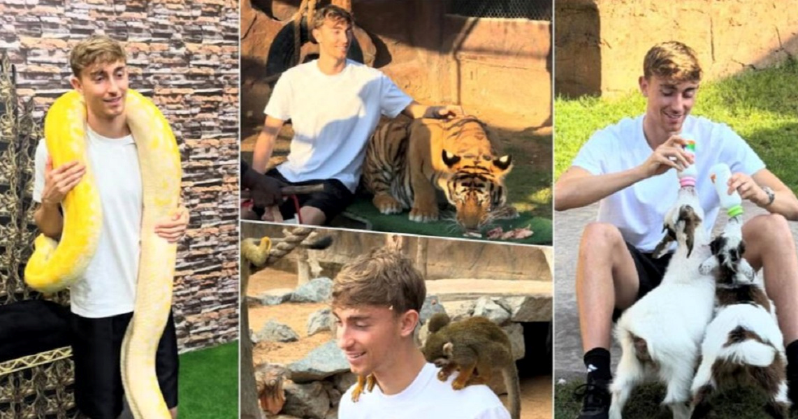 VIDEO Realov as za Božić mazio tigra, grlio se sa zmijom i potezao uže s lavicom