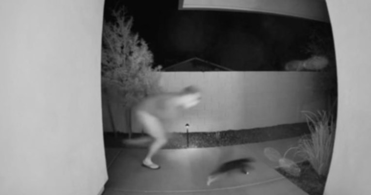 Mačka slučajno pobjegla iz kuće, kamera snimila urnebesnu potjeru