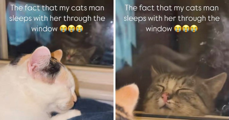 Romeo i Julija: Mačak koji spava ispred prozora svoje simpatije topi srca