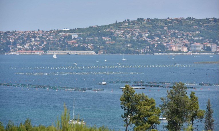 Slovenci i dalje šalju kazne hrvatskim ribarima, jedan kaže da ih je dobio tisuću
