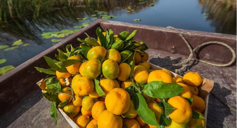 U neretvanskim mandarinama pronađen opasni pesticid. Završile u BiH
