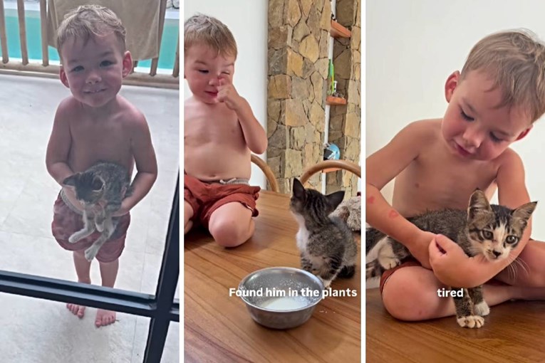 Dječak u Indoneziji pronašao mačića i donio ga mami, video je viralan