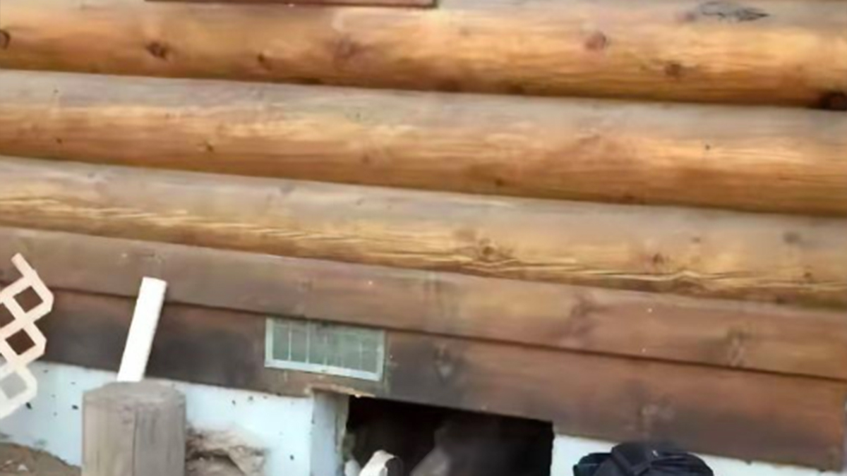 Skužili su da im netko živi u podrumu, šokirali se kad su vidjeli što je tamo