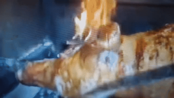 Plenković je govorio da je Žalac veliki stručnjak. Je, za žderanje na naš račun