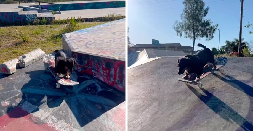 19 mil. pregleda: Jazavčarka koja vozi skateboard postala viralni hit