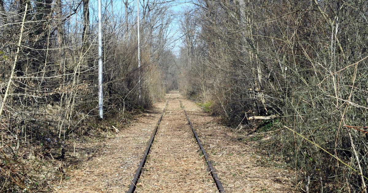HSS protiv megafarmi pilića: Hrvatsko selo ne smije biti poligon za eksperimente