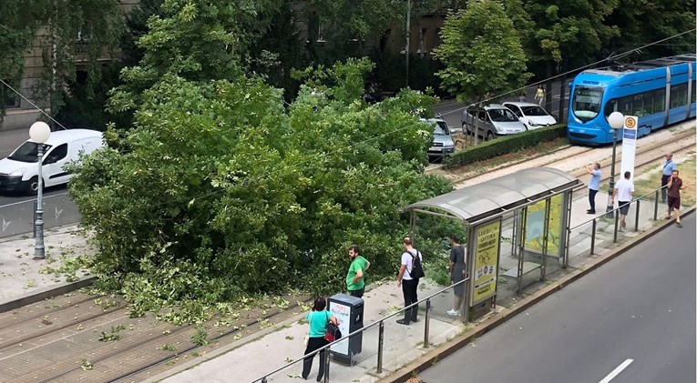 Drvo palo na ženu na tramvajskoj stanici u Zagrebu. Ima ozljede glave