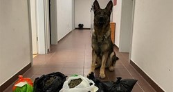 FOTO Policijski pas Boy kod Šibenčanina (38) nanjušio veliku količinu droge
