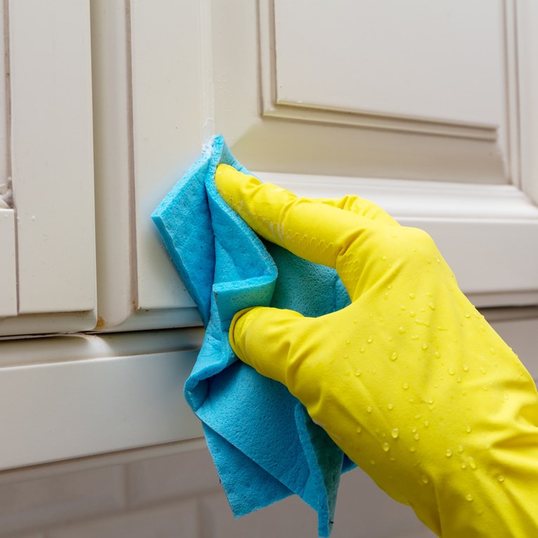 Koje je najprljavije mjesto u kuhinji? I da, vjerojatno ga nikad niste čistili