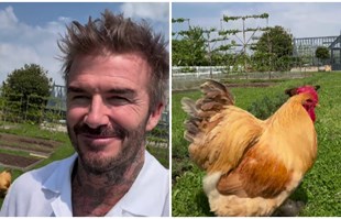 David Beckham pohvalio se novim hobijem, fanovi: "Čak i tvoje kokoši dobro izgledaju"