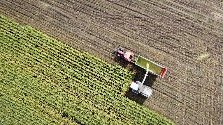 Španjolska priprema interventnu nabavu kukuruza od Argentine i SAD-a