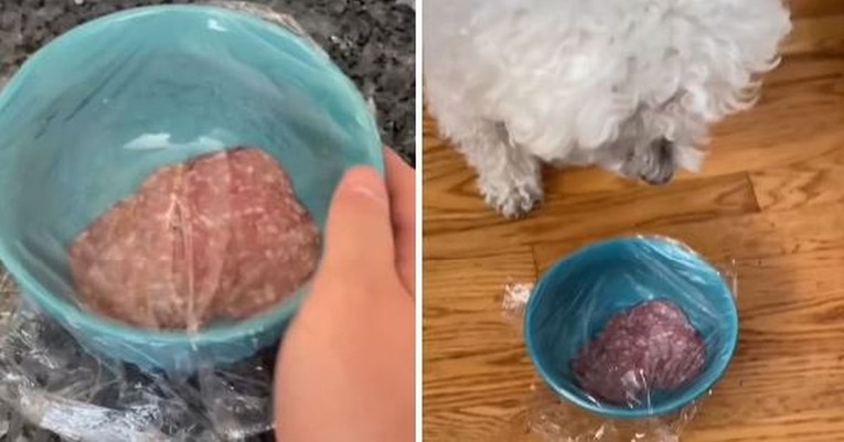 Zdjelicu sa psećom hranom zamotao u plastičnu foliju, reakcija psa je urnebesna