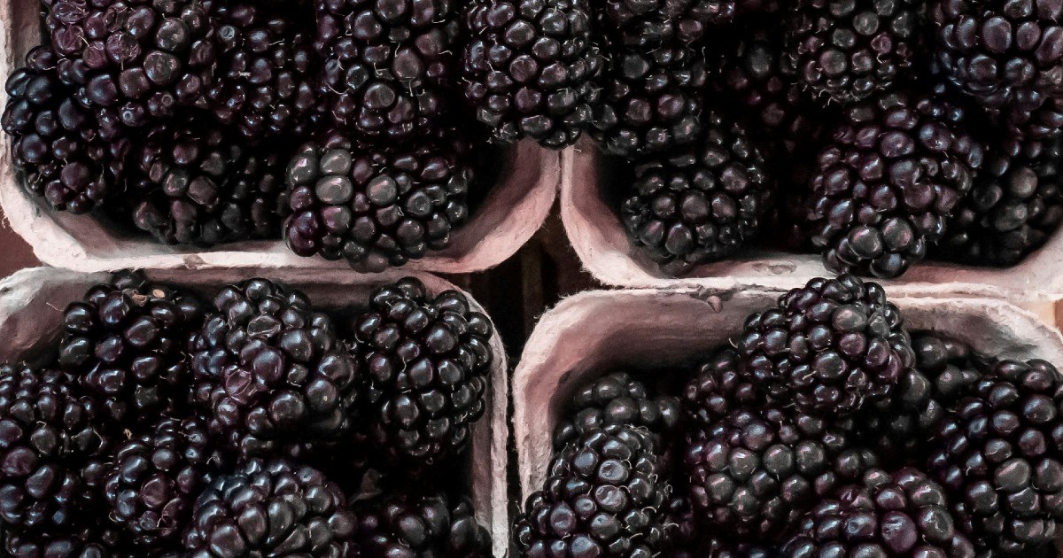 Jedna vrsta bobičastog voća prava je riznica zdravlja za cijeli organizam