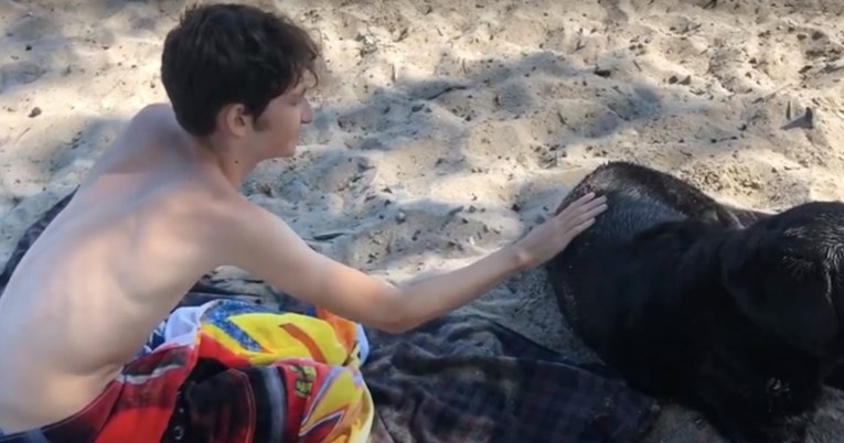 Autistični dječak bojao se pasa, a onda je upoznao nježnog labradora