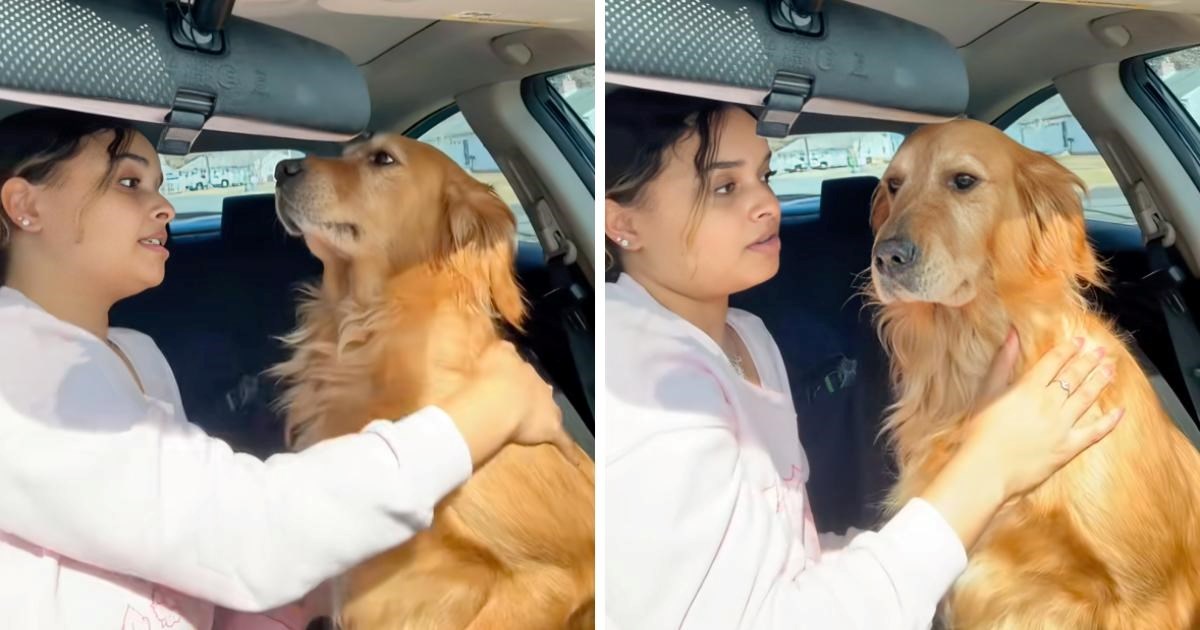 Pas htio polizati vlasnicu, ali mu nije dozvolila. Njegova tužna reakcija slama srca