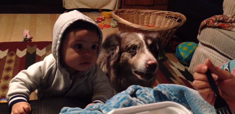 Nagovarala je sina da kaže mama, no njihov je pas bio brži i sve ih iznenadio