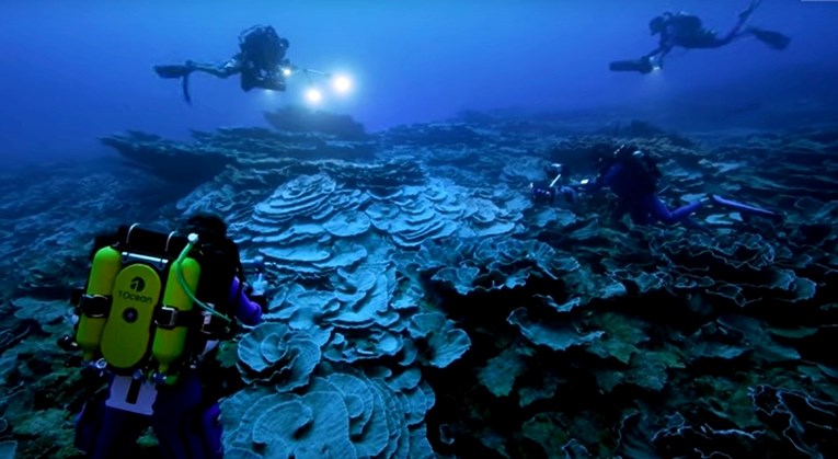 VIDEO Na Tahitiju otkriven rijedak divovski koraljni greben