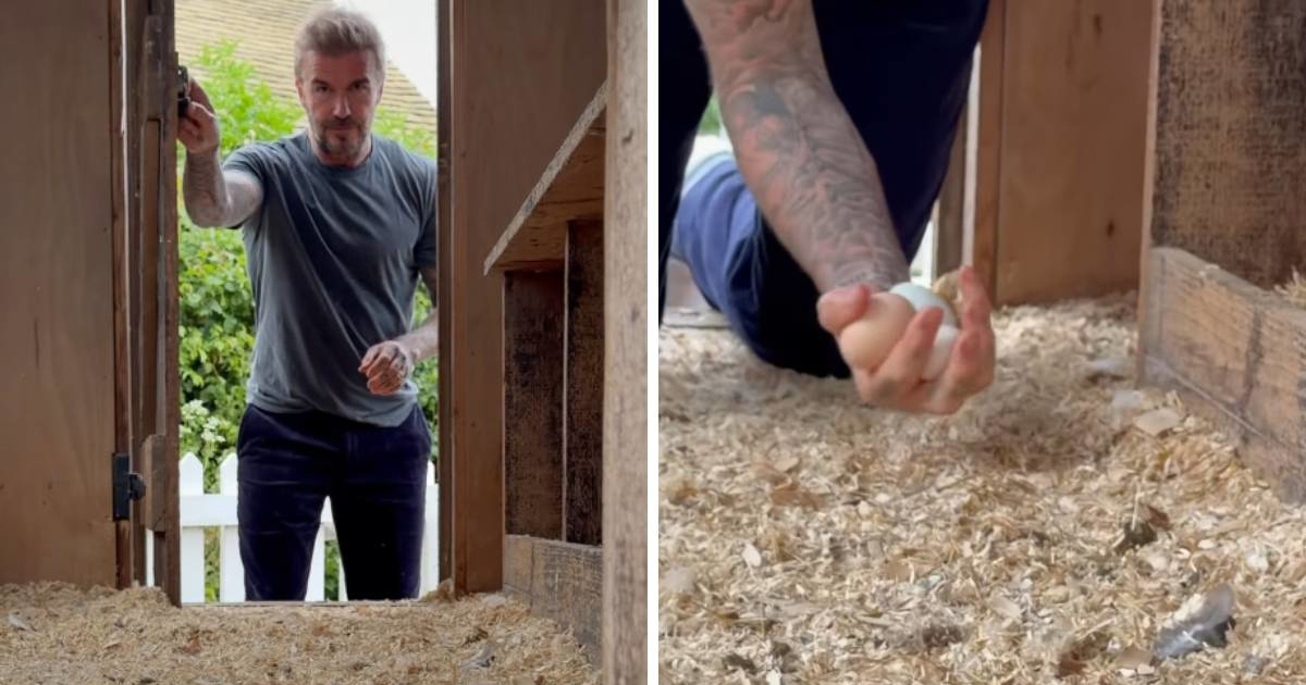 Fanovi ne mogu vjerovati čime se danas bavi David Beckham: "Provjeravam svoje kokoši"